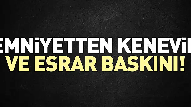 Emniyetten kenevir ve esrar baskını!