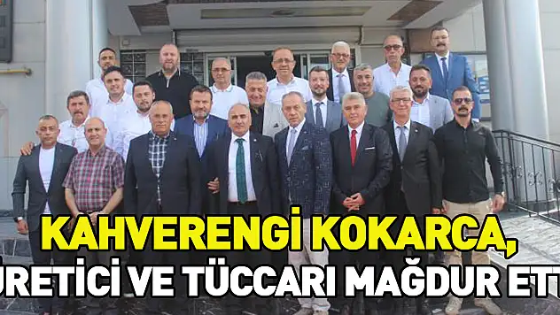 Kahverengi kokarca, üretici ve tüccarı mağdur etti'