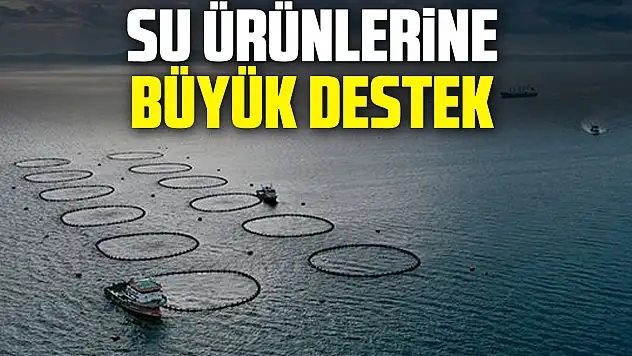 Su ürünlerine büyük destek