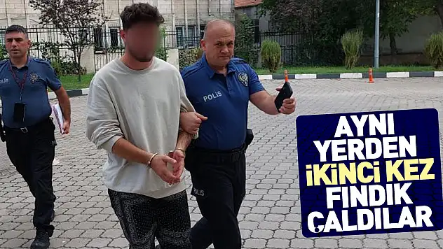 BİR GÜN ARAYLA HIRSIZLIK