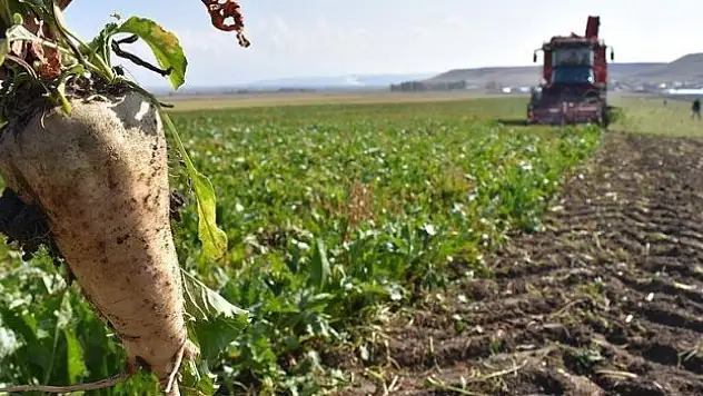 30 gün içerisinde tamamlanacak