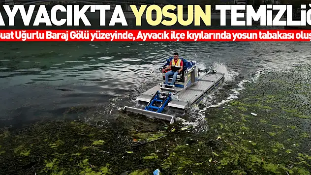 Ayvacık'ta yosun temizliği