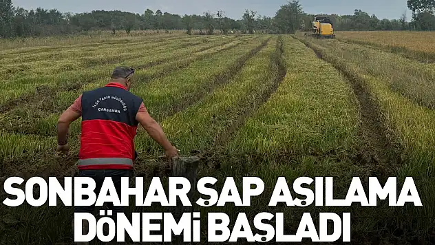 Sonbahar şap aşılama dönemi başladı