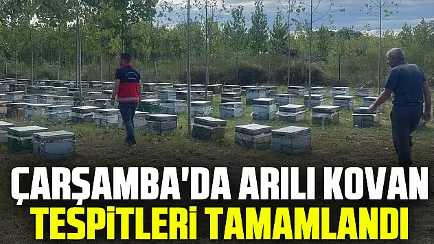 Çarşamba'da Arılı Kovan Tespitleri Tamamlandı