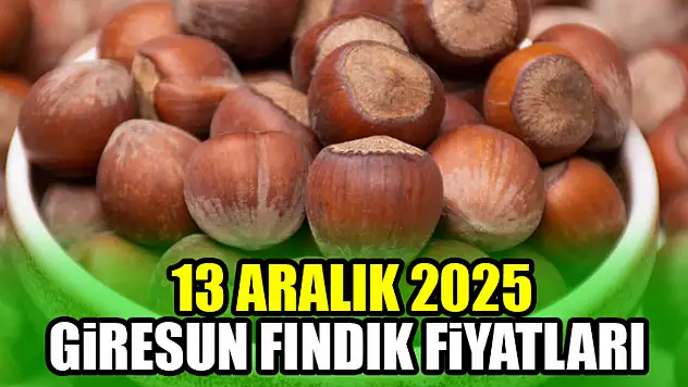 13 Aralık Giresun Fındık Fiyatları