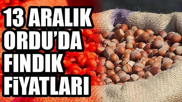 13 Aralık Ordu'da Fındık Fiyatları