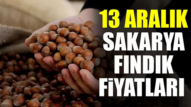 13 Aralık Sakarya Fındık Fiyatları