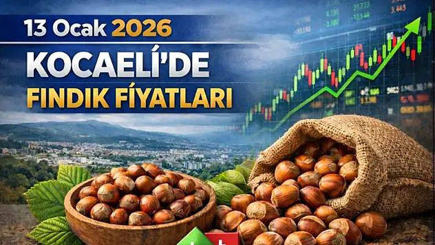 13 Ocak 2026 Kocaeli'de Fındık Fiyatları