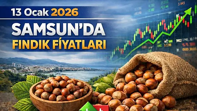 13 Ocak 2026 Samsun'da Fındık Fiyatları
