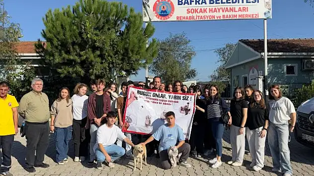 Okullarına bir köpek sahiplendiler