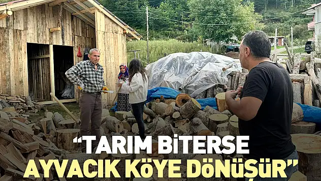 'Tarım biterse Ayvacık köye dönüşür'