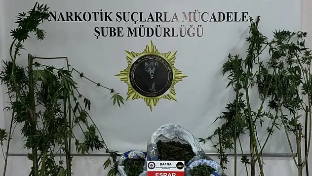 Samsun'da uyuşturucu operasyonu: 2 gözaltı