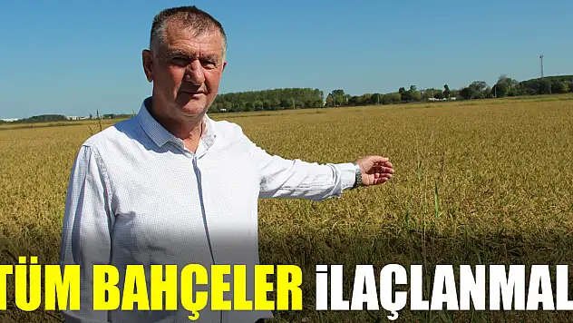 'Tüm bahçeler ilaçlanmalı'