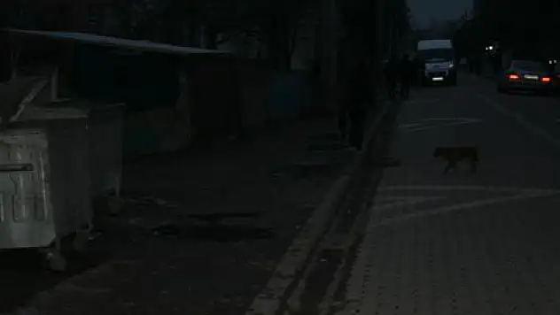 Kaldırımlar kan ağlıyor