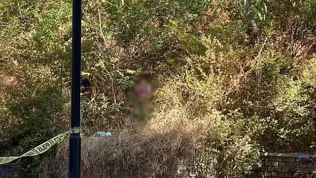 Aranan kadın mesire alanında ölü bulundu