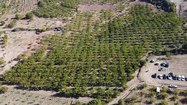 4 yılda iki katına yaklaştı