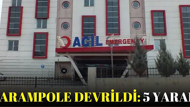 Şarampole devrildi: 5 yaralı