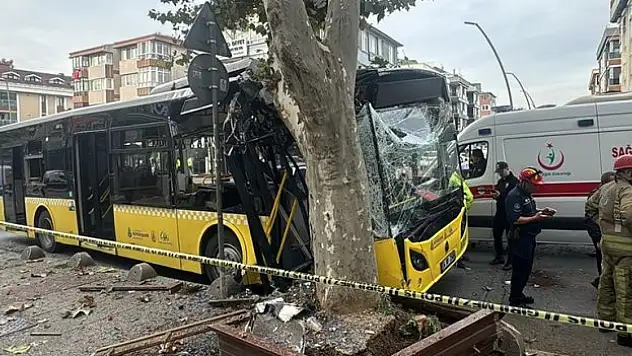 İETT otobüsü ağaca çarptı