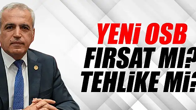 Yeni OSB Fırsat mı? Tehlike mı?