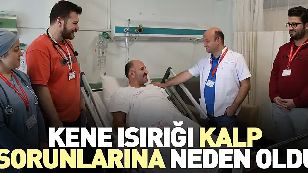 KENE ISIRIĞI KALP SORUNLARINA NEDEN OLDU