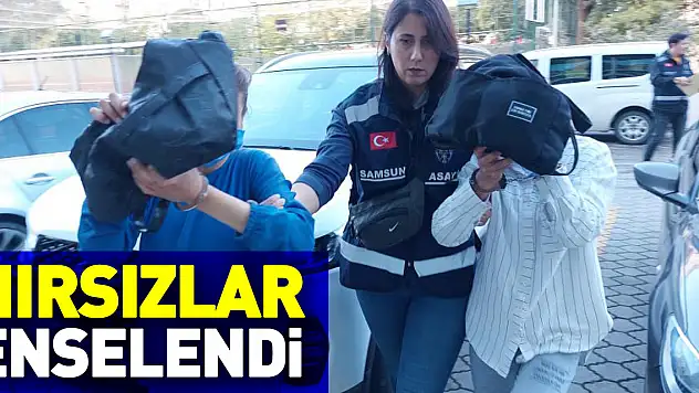 HIRSIZLAR ENSELENDİ