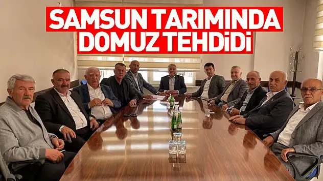 SAMSUN TARIMINDA DOMUZ TEHDİDİ