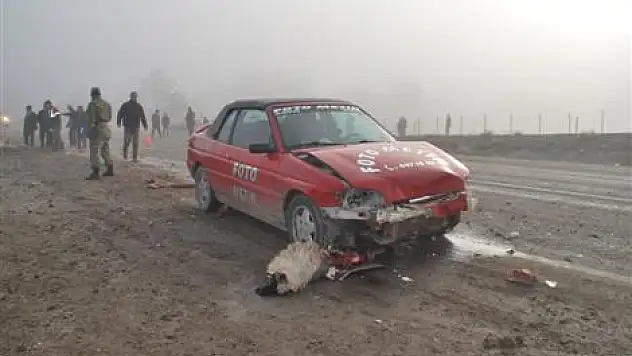 Otomobilin Çarptığı 22 Koyun Telef Oldu