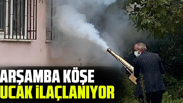 ÇARŞAMBA KÖŞE BUCAK İLAÇLANIYOR