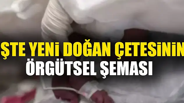 iŞTE YENi DOĞAN ÇETESiNiN ÖRGÜTSEL ŞEMASI