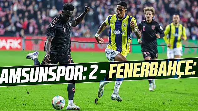 Samsunspor: 2 - Fenerbahçe: 2