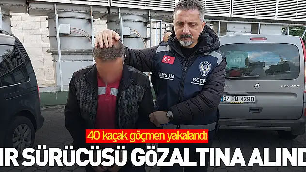 Tır sürücüsü gözaltına alındı
