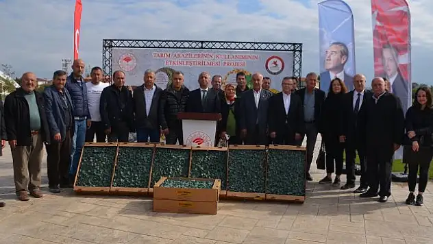 625 bin adet brokoli fidesi dağıtıldı