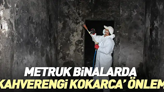 Metruk binalarda 'kahverengi kokarca' önlemi