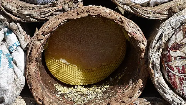 Bal hasadı devam ediyor