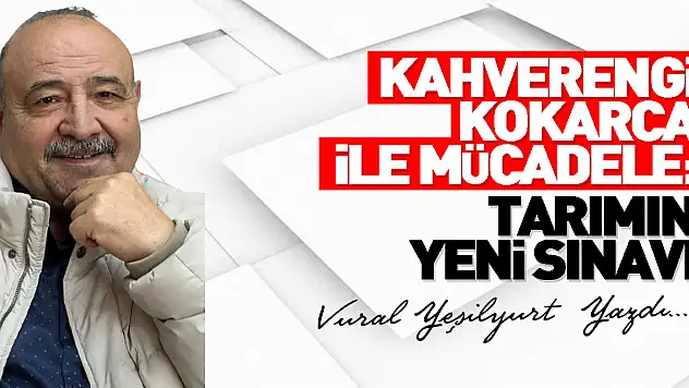 Kahverengi Kokarca ile Mücadele: Tarımın Yeni Sınavı