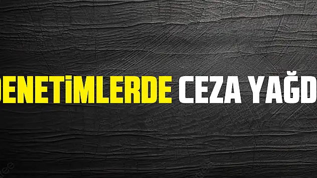 Denetimlerde Ceza Yağdı!