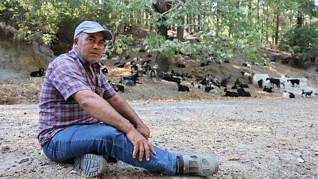 Dağlardaki kurtlar, çobanlarının en büyük kabusu oldu