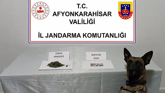 jandarma uyuşturucu maddelere el koydu