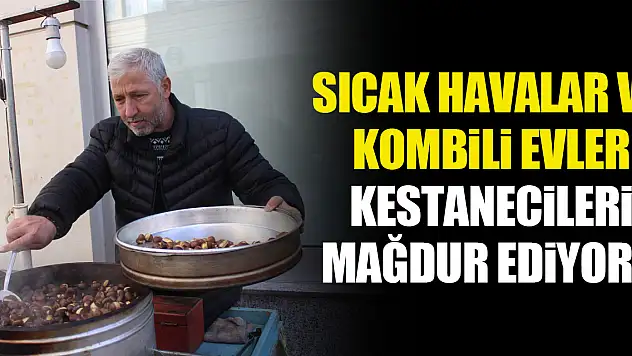 SICAK HAVALAR VE KOMBİLİ EVLER KESTANECİLERİ MAĞDUR EDİYOR !