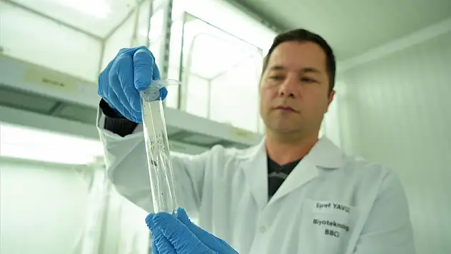 Samuray arısı üretimi 10 katına çıkarıldı