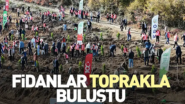 Fidanlar Toprakla Buluştu