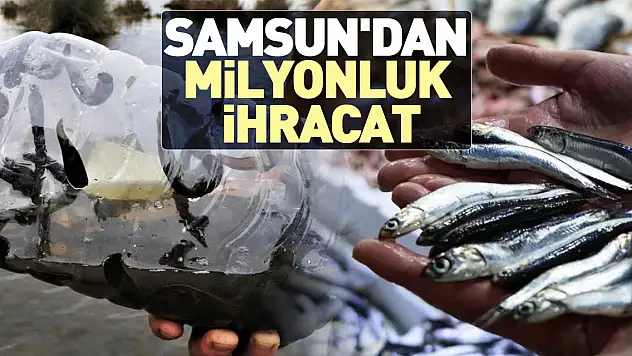 SAMSUN'DAN MİLYONLUK İHRACAT