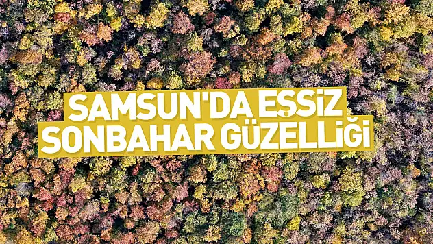 SAMSUN'DA EŞSİZ SONBAHAR GÜZELLİĞİ