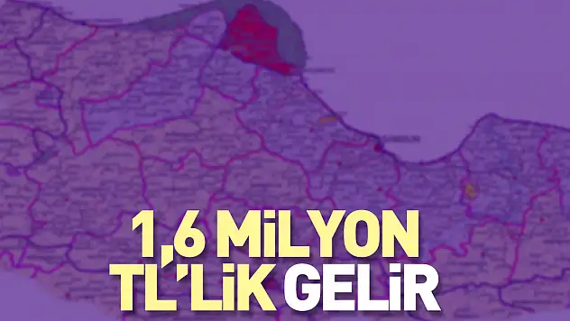 1,6 milyon TL'lik gelir