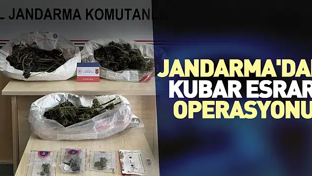 Jandarma'dan kubar esrar operasyonu