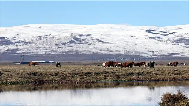 Ardahan'da dağların zirvesi beyaza büründü