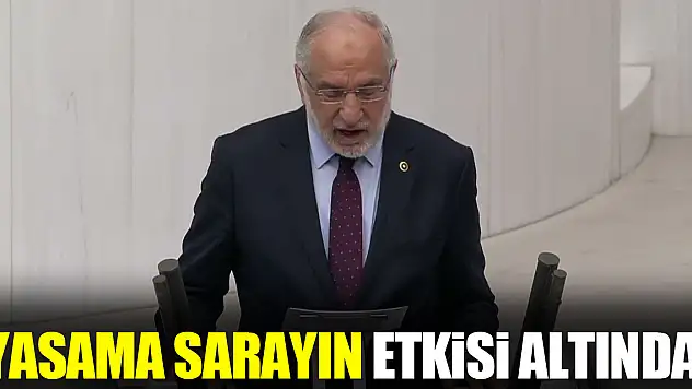 Milletvekili Karaman 'Yasama Sarayın Etkisi Altında!'
