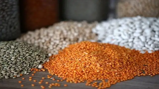 Hububat ve bakliyat ihracatı 9,7 milyar dolar oldu