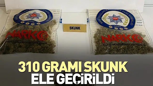 310 gramı skunk ele geçirildi