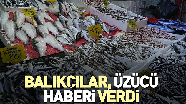Balıkçılar, üzücü haberi verdi